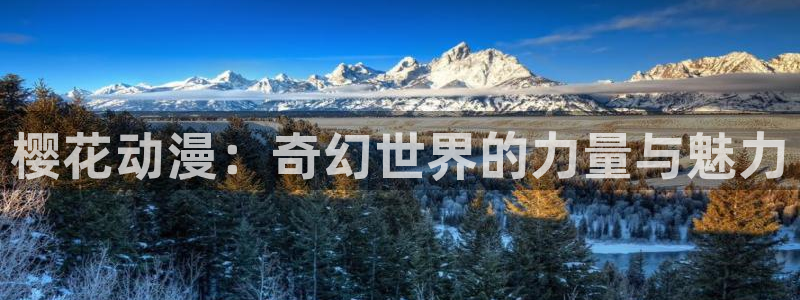 age动漫入口官网：樱花动漫：奇幻世界的力量与魅力