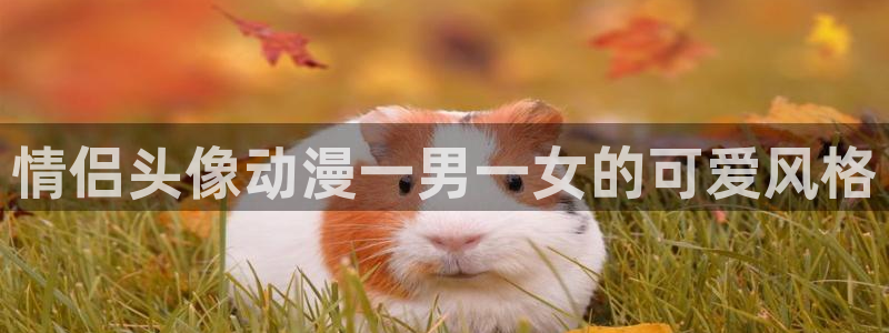 age动漫排行：情侣头像动漫一男一女的可爱风格