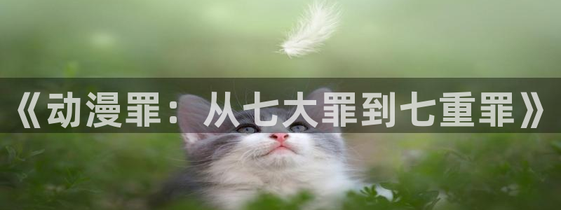 age动漫正版官网：《动漫罪：从七大罪到七重罪》