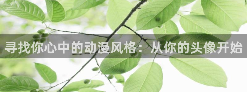 age动漫正版官网：寻找你心中的动漫风格：从你的头像开始