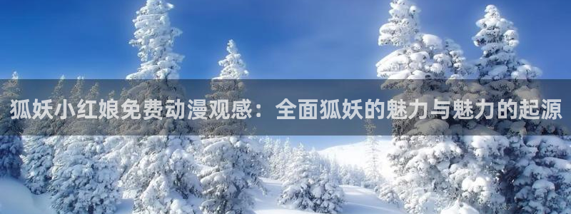 age动漫免费下载安装
